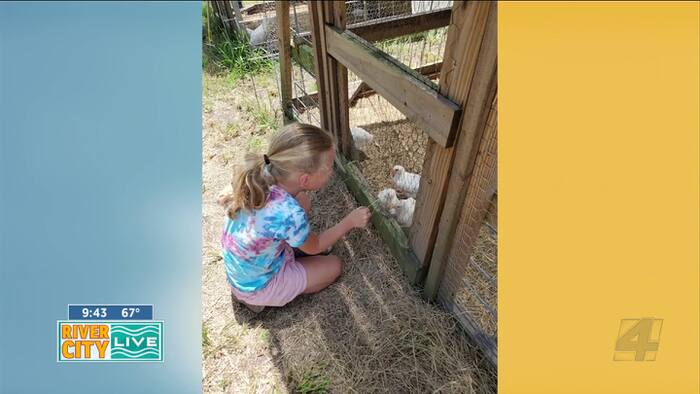 Tour de Farm: Discover Duval County’s Local Farms