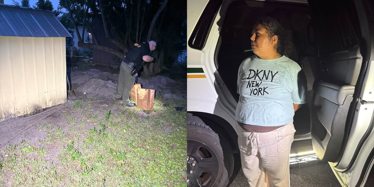 Martin County sheriff says two cats survived, two others found dead