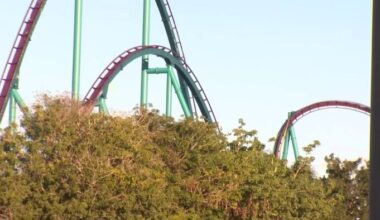 SeaWorld Orlando temporarily closes Mako after rider killed on similar Six Flags coaster