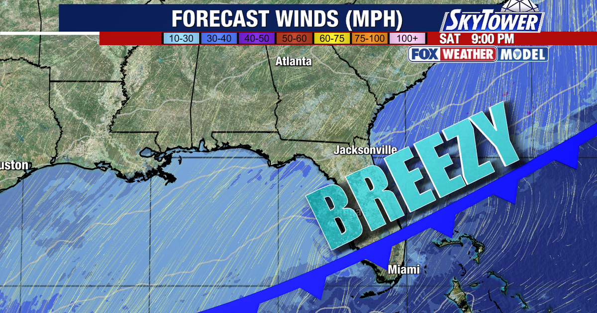 Tampa weather: Cold front brings weekend rain chances and lower humidity