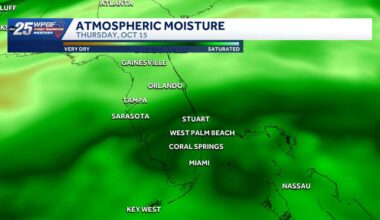 Heavy rain, windy conditions expected in South Florida this weekend