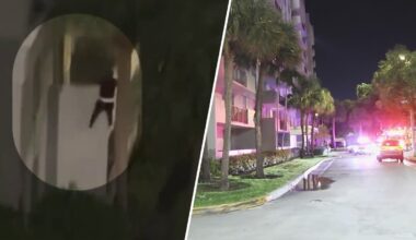 Suspect arrested in North Miami shootout and abduction that ended with man’s murder – NBC 6 South Florida
