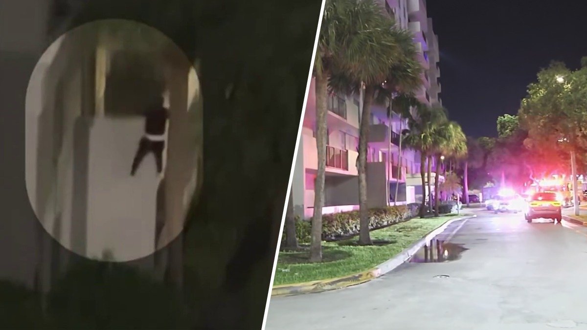Suspect arrested in North Miami shootout and abduction that ended with man’s murder – NBC 6 South Florida