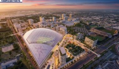 Tampa Rays stadium: Council approves $80 million bond after virtual vote