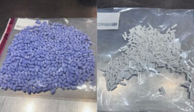 Joint Investigation Leads to Drug Trafficking Arrest