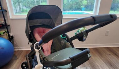 Dog attacked parents shielding baby in Winter Garden. Now, they fear its return