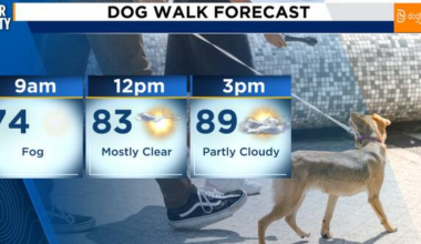Warm Friday ahead of a cooler, windier weekend in Northeast Florida, Southeast Georgia