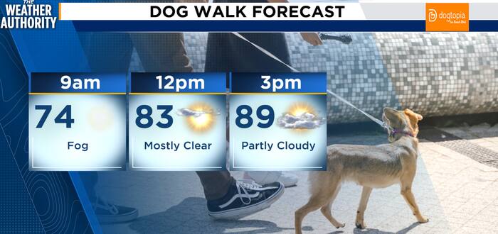 Warm Friday ahead of a cooler, windier weekend in Northeast Florida, Southeast Georgia