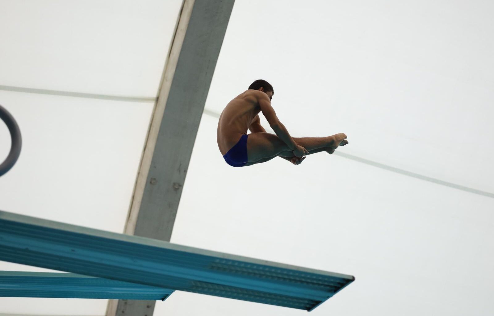Miguel Tovar Leads Gators to 3-Meter Victory Over Miami