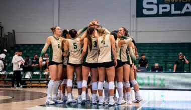 Dolphins Fall To Eagles At Home