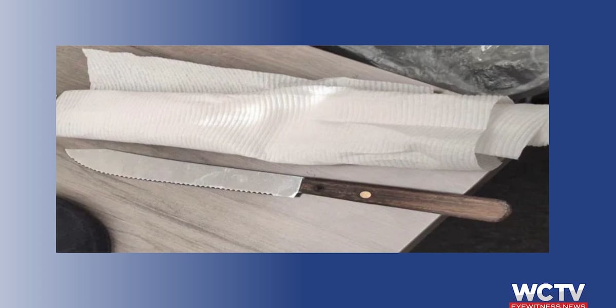 LCSO: 14-year-old Leon High School student arrested for possession of knife on campus