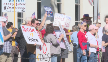 No Kings rally draws protesters to downtown Tallahassee