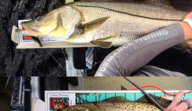 23rd Annual Calusa Blueway Fishing Tournament returns