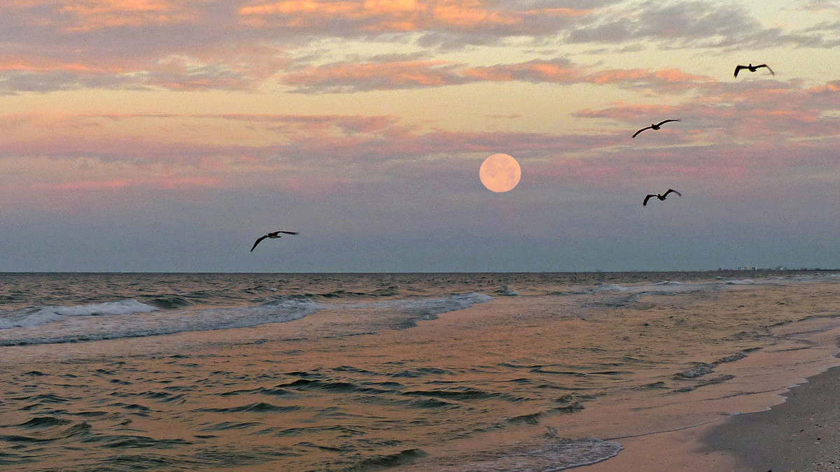 Best SW Florida reader photos include Naples, Fort Myers