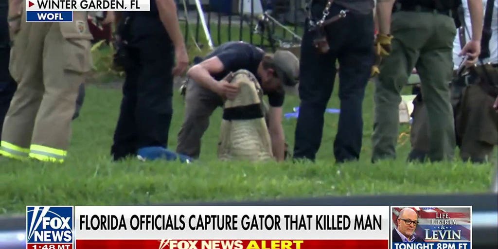 Florida officials capture and kill alligator after fatal attack