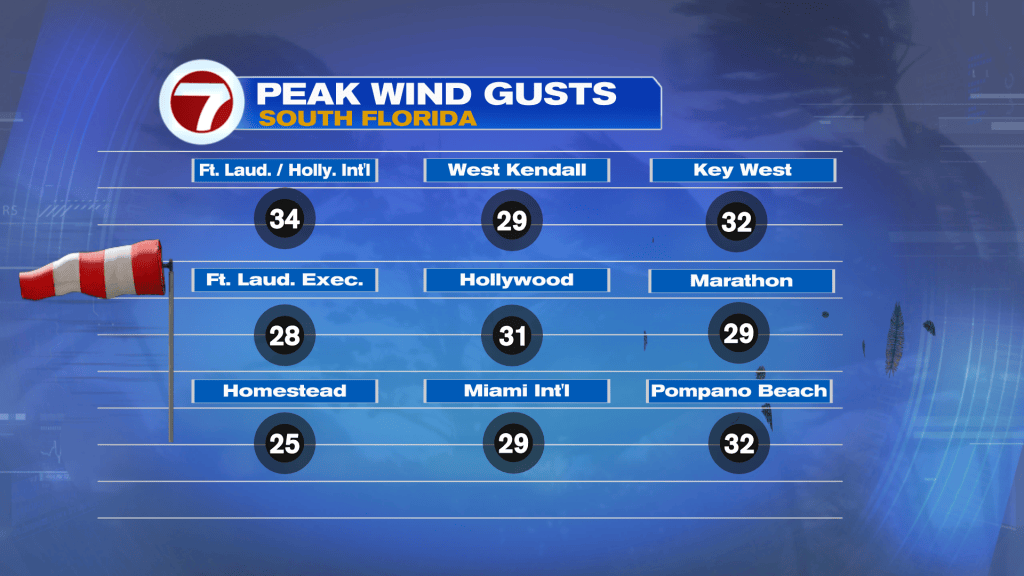 Big Winds, Small Showers - WSVN 7News | Miami News, Weather, Sports