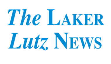 Hillsborough Briefs: County to host Veterans Day tribute