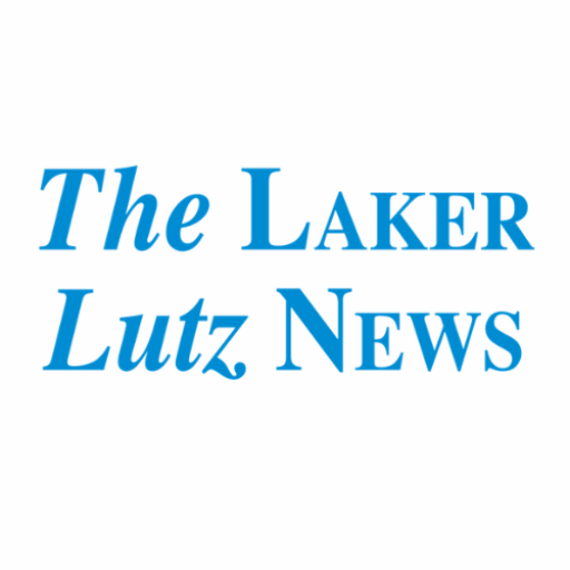 Hillsborough Briefs: County to host Veterans Day tribute