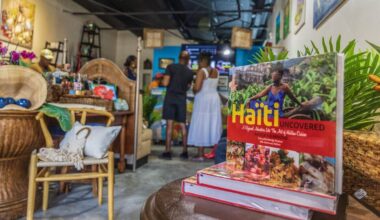 New Little Haiti shop preserves Haitian culture through art
