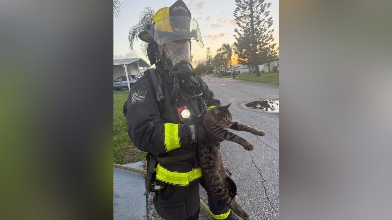 St. Lucie County firefighters respond to 2 structure fires, rescue cat