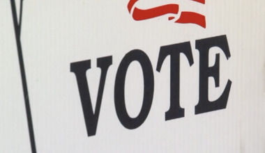 Leon County voter guide: Every local race and referendum on the ballot