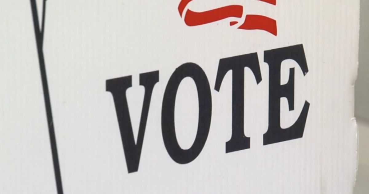 Leon County voter guide: Every local race and referendum on the ballot