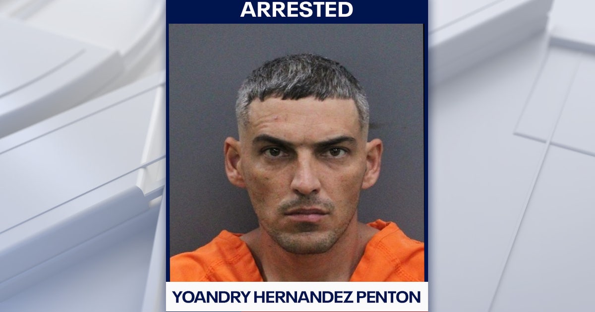 Man charged with attempted murder after alleged stabbing, carjacking in Tampa: HCSO
