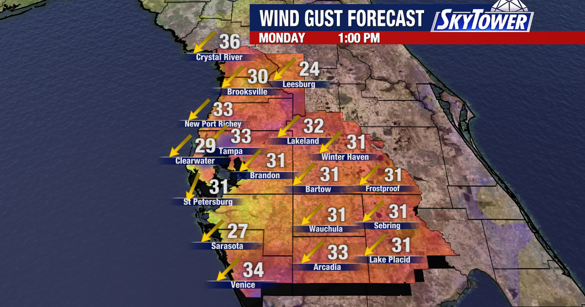 Tampa weather: Breezy winds and marine advisories continue