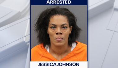 Tampa woman accused of hitting patrol car during stolen vehicle pursuit: HCSO