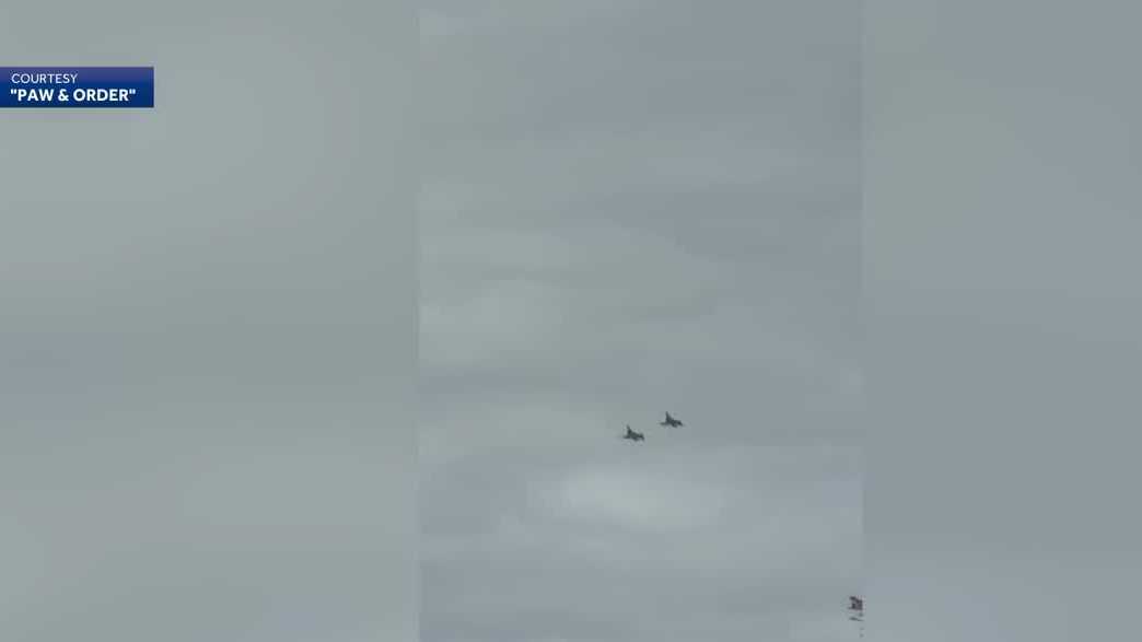 Israeli-made fighter jets owned by US contractor spotted in Florida