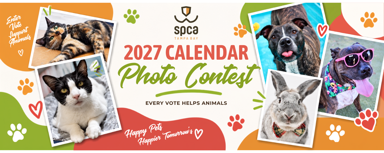 SPCA Tampa Bay’s Calendar Contest
