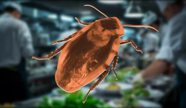Roaches and more force Orlando restaurant to close for 6th time this year