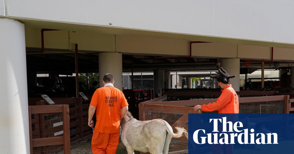 ‘Former inmates want to come back to visit’: inside Florida’s prison zoo | US prisons