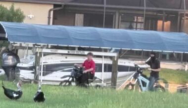 Video shows Florida kids trying to run over ducks with e-motos