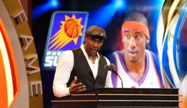 amar's stoudemire