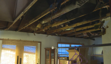 Tallahassee couple loses home after Hurricane Isaias topples tree, sparking Fire