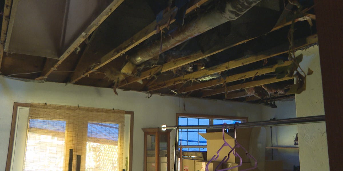 Tallahassee couple loses home after Hurricane Isaias topples tree, sparking Fire