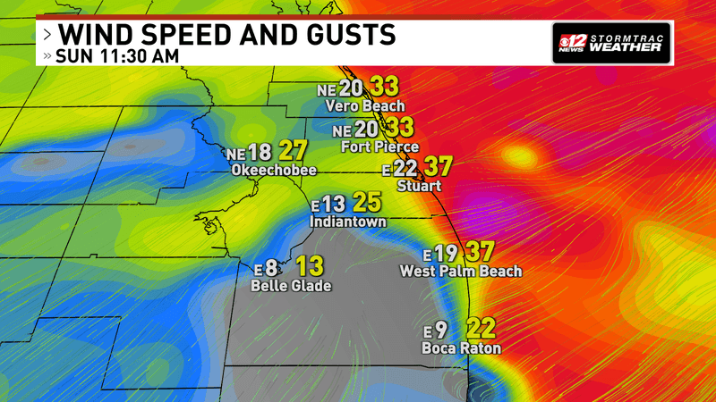 Sustained winds will be close to 20-25 miles per hour today with occasional gusts in the upper 30s. (WPEC)