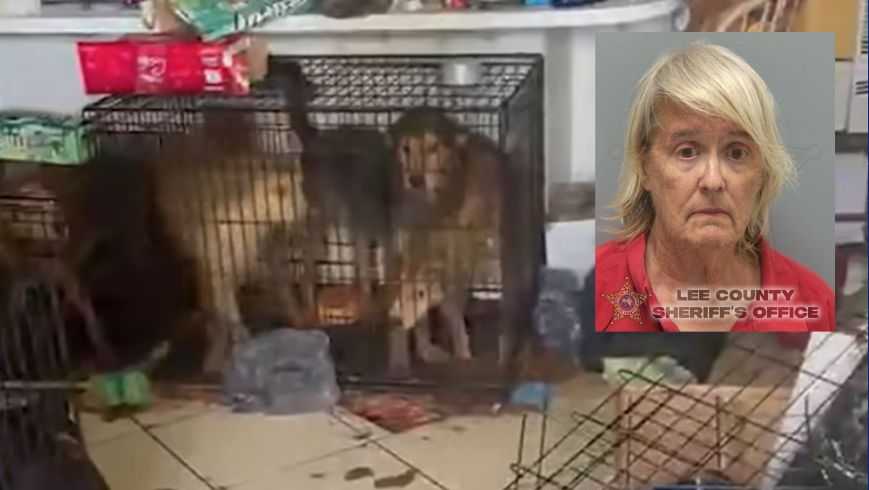 North Fort Myers woman faces 31 animal cruelty charges