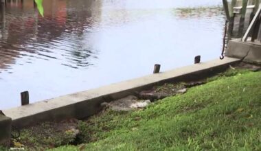 Florida family faces mounting challenges as seawall crumbles