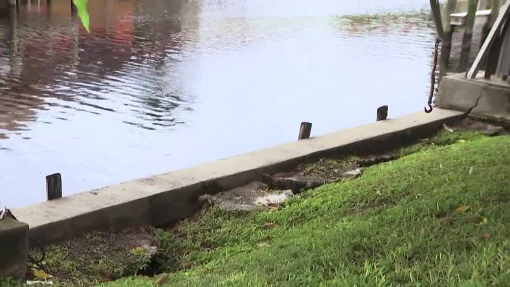 Florida family faces mounting challenges as seawall crumbles