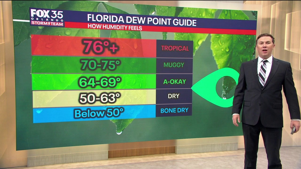 Orlando AM Weather Forecast: Pleasant weather ahead