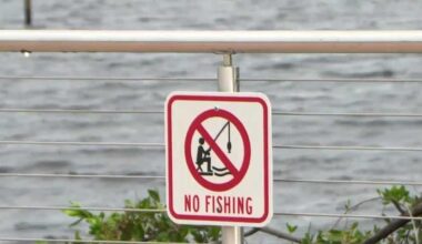 Cape Coral residents react to 'no fishing' signs at Jaycee Park