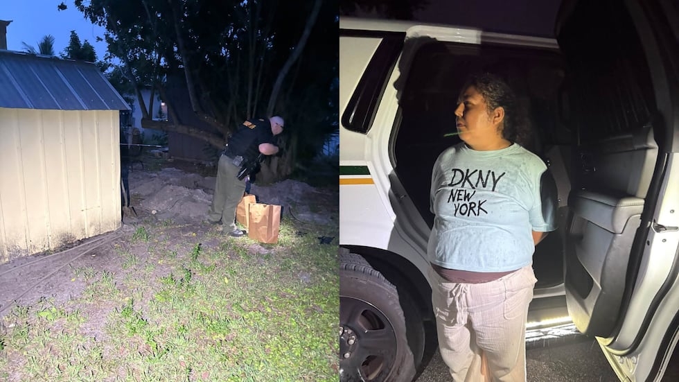 The Martin County sheriff said two cats survived and two others were found dead.