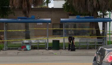 Man hospitalized after accidentally shooting himself in the groin in North Miami – NBC 6 South Florida