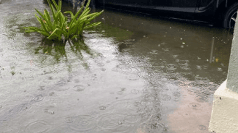 Indiantown residents demanded answers and action after severe flooding left roads submerged, disrupted school bus stops and raised safety concerns. The concerns come after CBS12 News received a photo of a bus on an Indiantown road. The photo shows the bus leaning to one side as it is surrounded by standing water. During public comment, one of the first residents to speak described the flooding and a bus stuck in a ditch, saying the conditions were so severe they could be fatal. (WPEC)