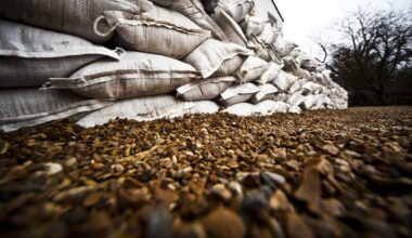 Tampa Bay Sandbag Locations Open Amid Hurricane Isaias Flood Threat | NewsRadio WFLA