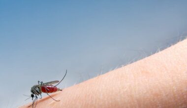Mosquito Warnings In Martin County After West Nile Virus Is Confirmed