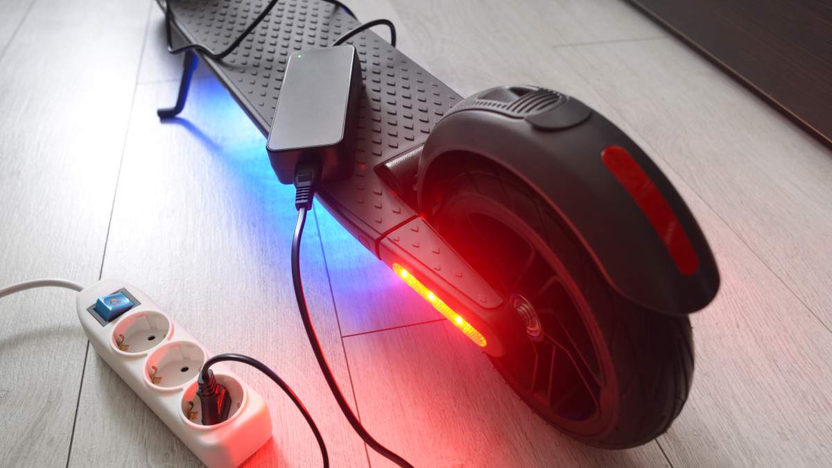 Miami Considers New E-Scooter Rules and Higher Animal Cruelty Fines | NewsRadio WIOD