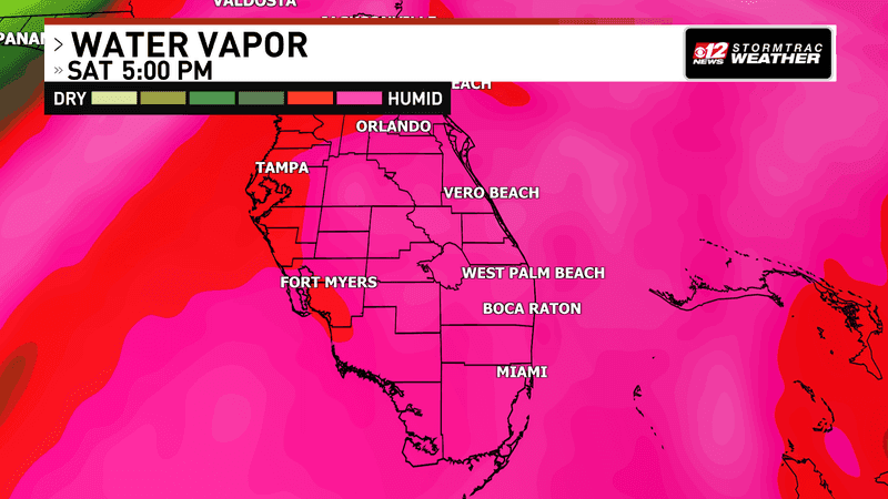 Isaias will pull in a muggy, tropical air mass to keep rain chances high on Saturday, (WPEC)
